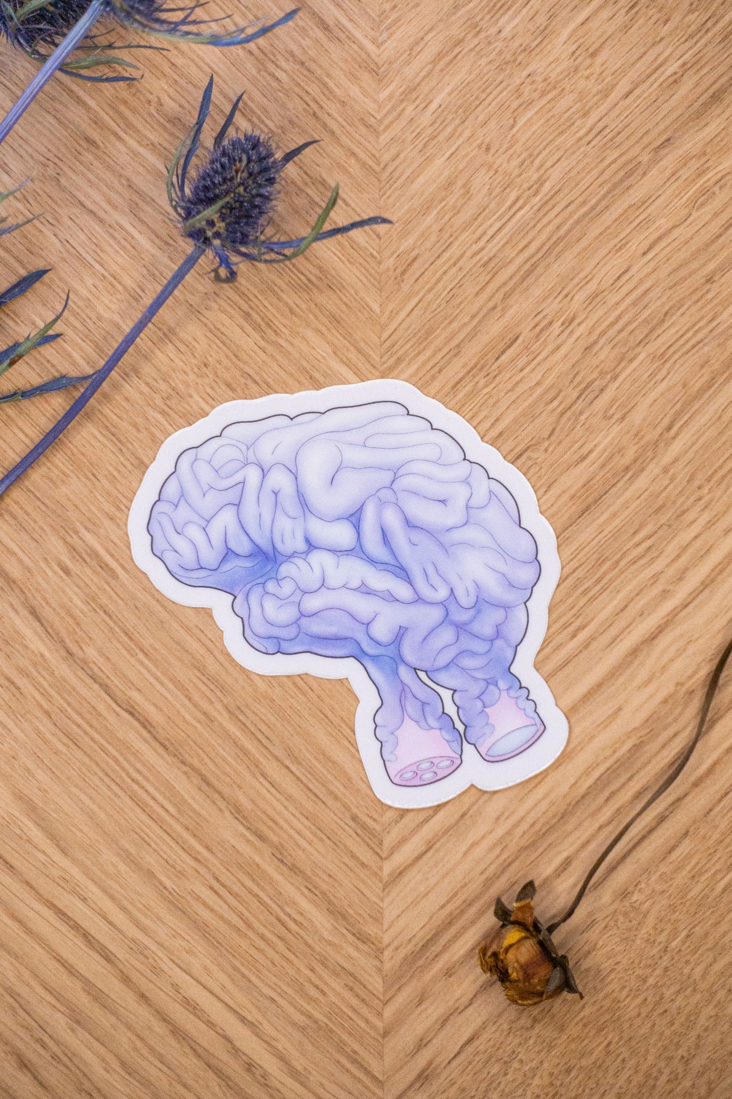 Brain Fuel Sticker