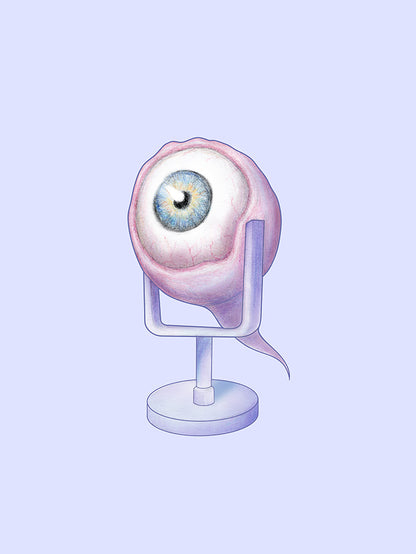 Eye-Fi Audio