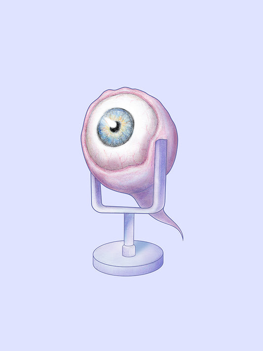 Eye-Fi Audio