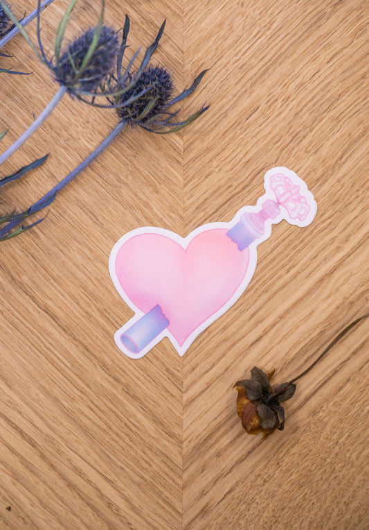 Heart Valve Sticker