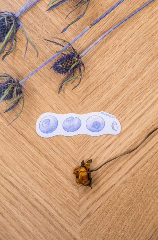 Blueberry Pi Sticker