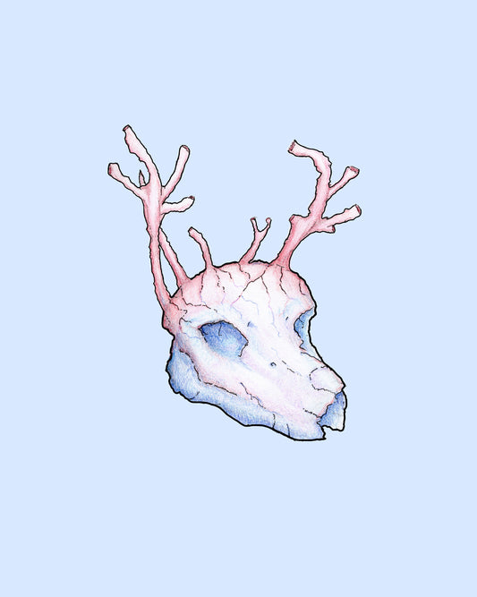 Ocean(d)eer
