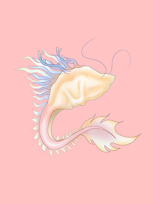 Dragon Dumpling